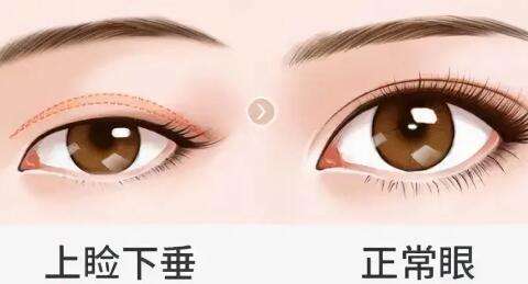 QQ截图20230821095923.jpg