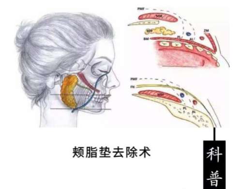 QQ截图20230830150447.jpg