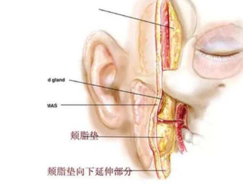 QQ截图20230830150343.jpg