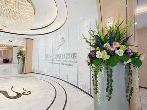 武汉美莱医疗美容医院.jpg
