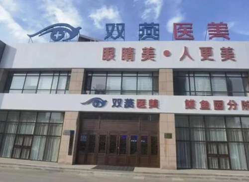 哈尔滨市道里区双燕医疗美容门诊部.jpg