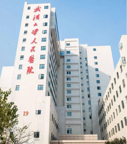 武汉大学人民医院.png