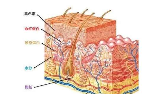5D胶原光3.jpg