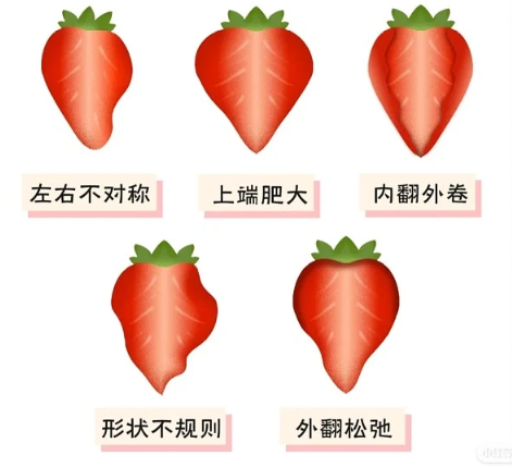 微信截图_20220722103717.png