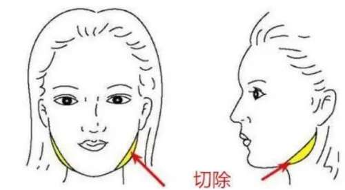 微信截图_20211211171659.jpg