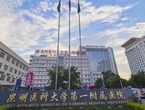 昆明医科大学第一附属医院.jpg
