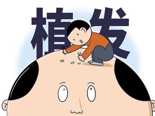 u=3958645116,202802038&fm=30&app=106&f=JPEG.jpg