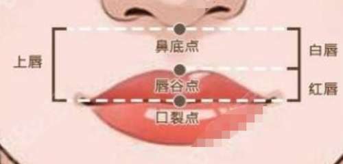 vx截图_20231015083548.jpg