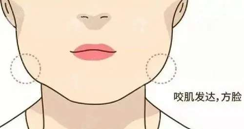 u=960314966,3579380107&fm=253&fmt=auto&app=138&f=JPEG.webp.jpg