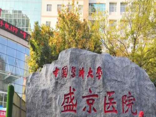 沈阳盛京医院.jpg