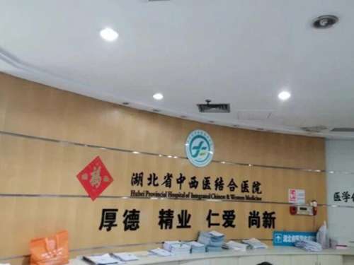 武汉市中西医结合医院.jpg
