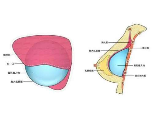 QQ截图20231031112758.jpg
