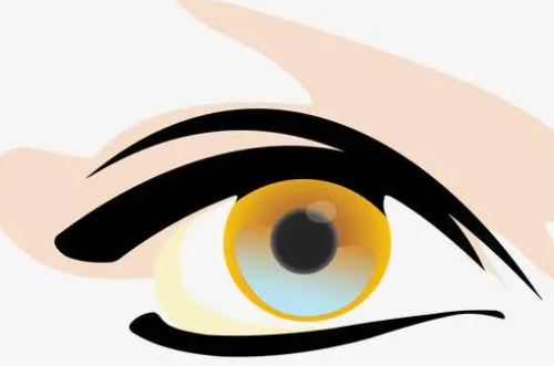 1.png