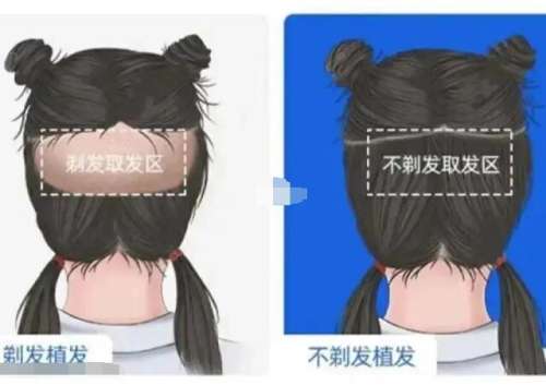 QQ截图20231103122748.jpg