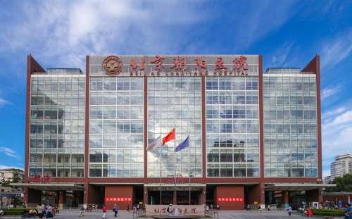 北京朝阳医院整.jpg