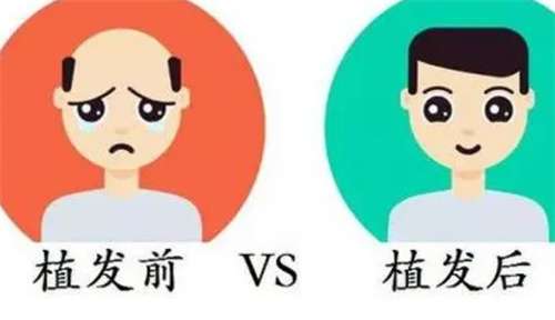 微信截图_20231114002123.jpg