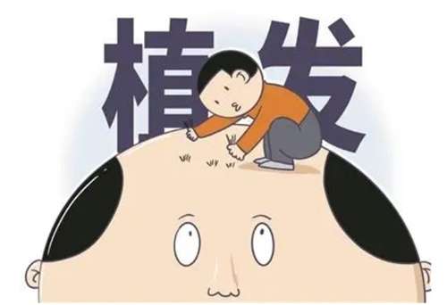 微信截图_20231114001423.jpg