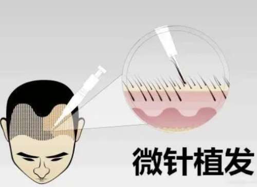 QQ截图20231122113328.jpg
