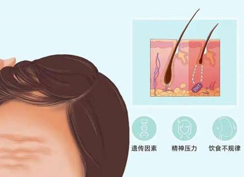 QQ截图20231129110348.jpg