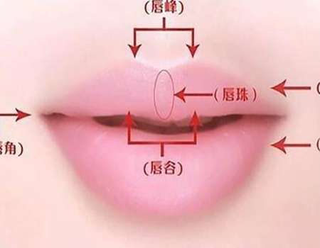 QQ截图20230424204552.jpg
