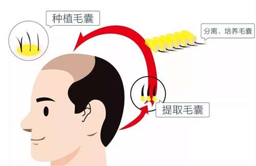 微信截图_20231114001814.jpg