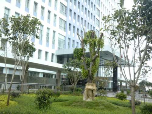 祥云县人民医院.jpg
