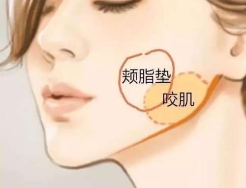 QQ截图20240111122037.jpg