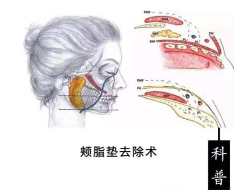 QQ截图20240111122107.jpg