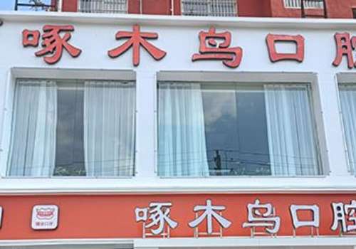 驻马店啄木鸟.jpg