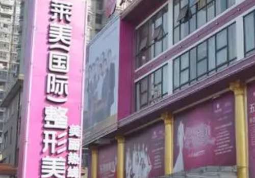 莱美.jpg