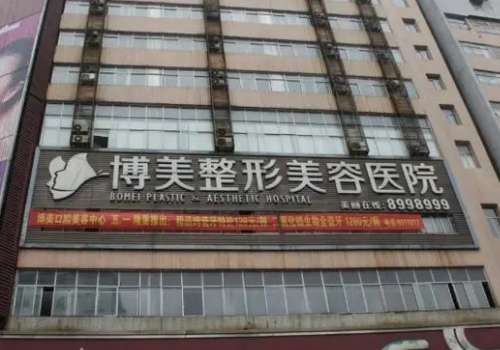 博美.jpg