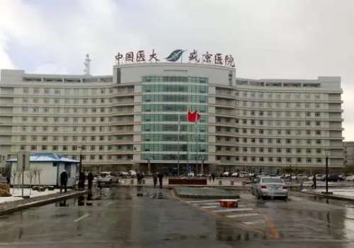 沈阳盛京医院整形美容外科.jpg