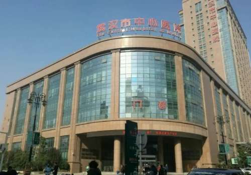 武汉市中心医院.jpg