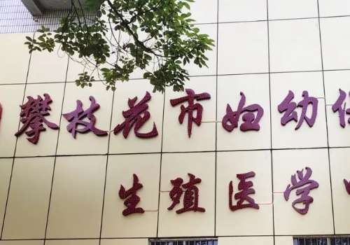 攀枝花市妇幼保健院.jpg