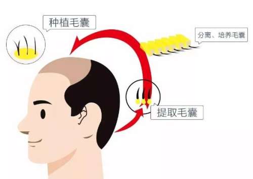 QQ截图20240123115722.jpg