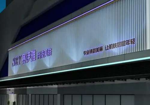 东莞大朗赛伊雅医疗.jpg