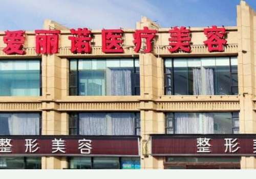 爱丽诺.jpg