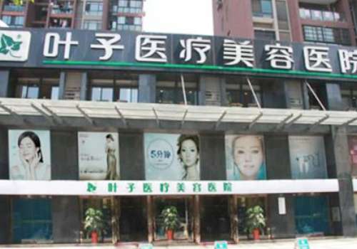 贵港叶子.jpg