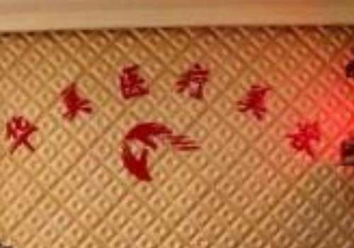 随州华美.jpg