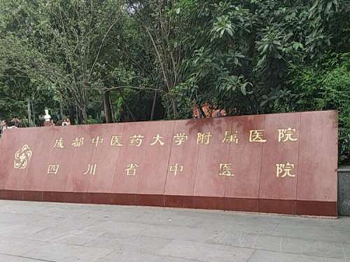 成都市中医药大学附属医院.jpg