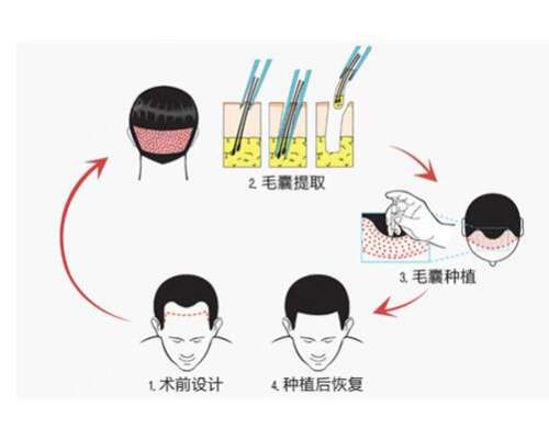 QQ截图20240130115200.jpg