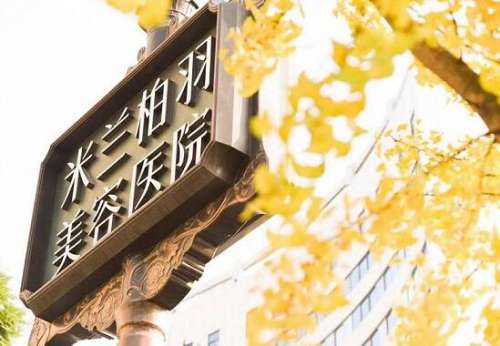 四川米兰柏羽.jpg