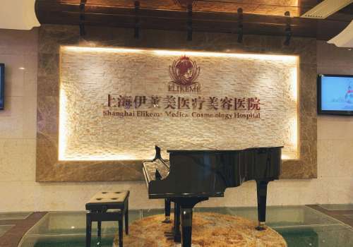 上海伊莱美.jpg