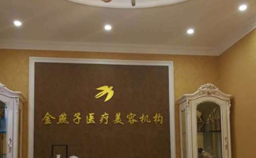 北京金燕子医疗美容诊所.jpg