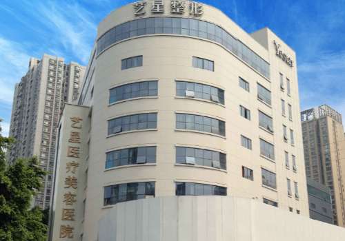 重庆艺星.jpg