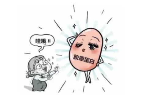 胶原蛋白1.png