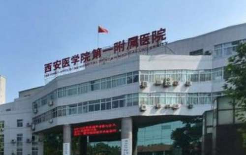 微信截图_20240620205543.jpg