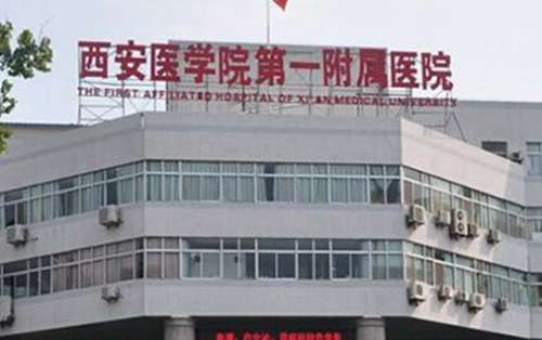 微信截图_20240620205513.jpg