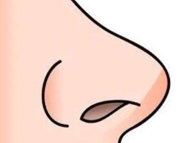 隆鼻 隆鼻