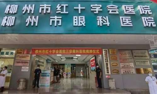 微信截图_20240715224003.jpg